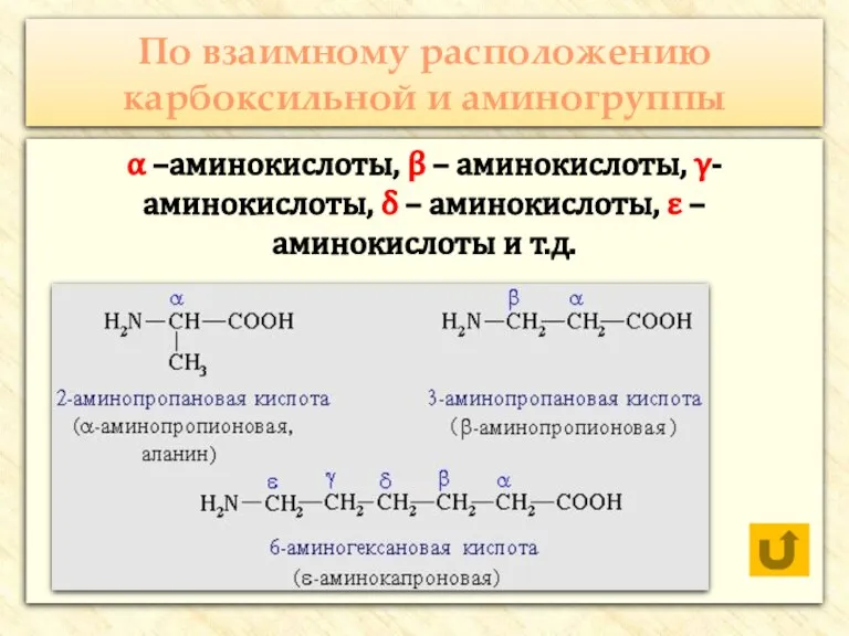 По взаимному расположению карбоксильной и аминогруппы α –аминокислоты, β – аминокислоты, γ-