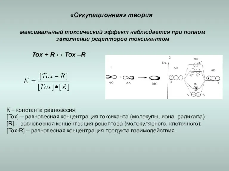максимальный токсический эффект наблюдается при полном заполнении рецепторов токсикантом «Оккупационная» теория Tox