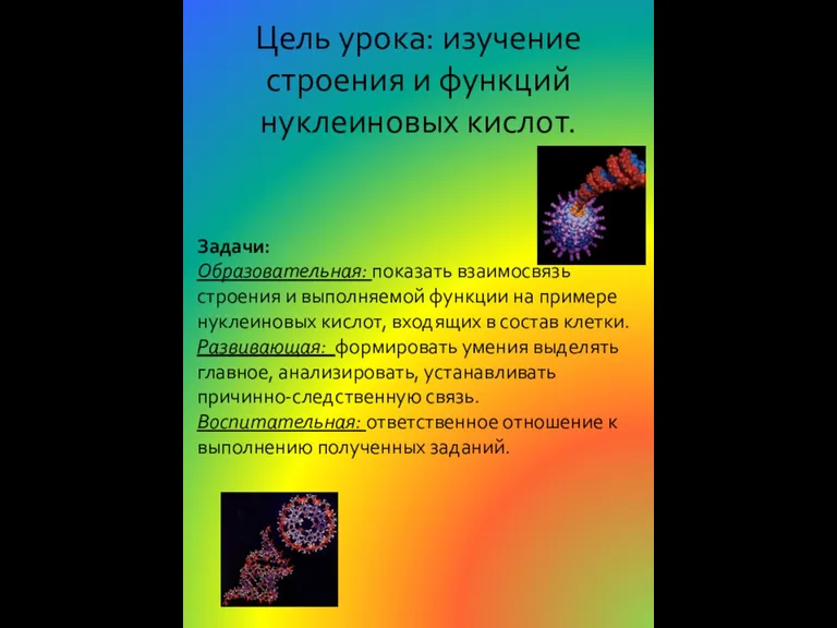 Цель урока: изучение строения и функций нуклеиновых кислот. Задачи: Образовательная: показать взаимосвязь