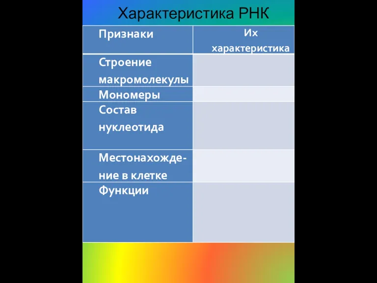 Характеристика РНК