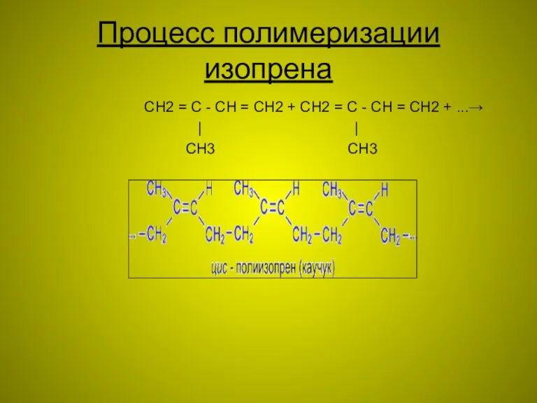 Процесс полимеризации изопрена CH2 = C - CH = CH2 + CH2