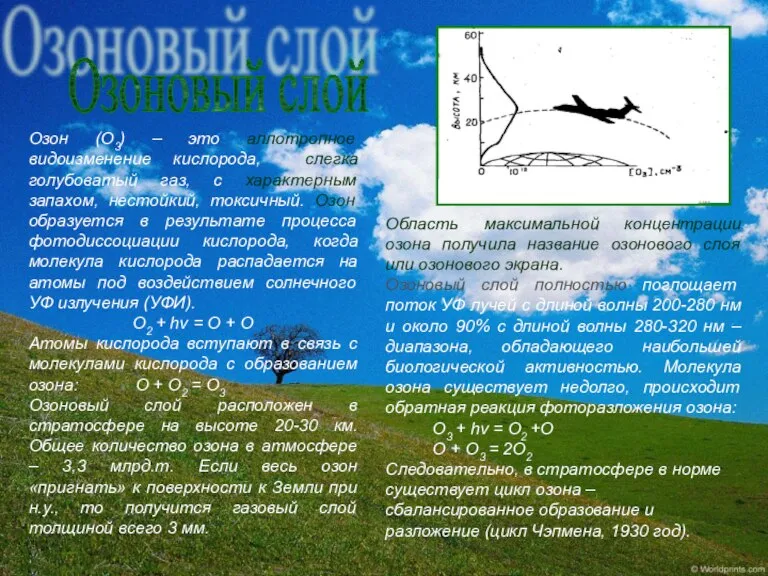 Озоновый слой Озон (О3) – это аллотропное видоизменение кислорода, слегка голубоватый газ,