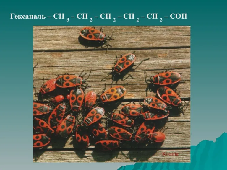 Гексаналь – СН 3 – СН 2 – СН 2 – СН