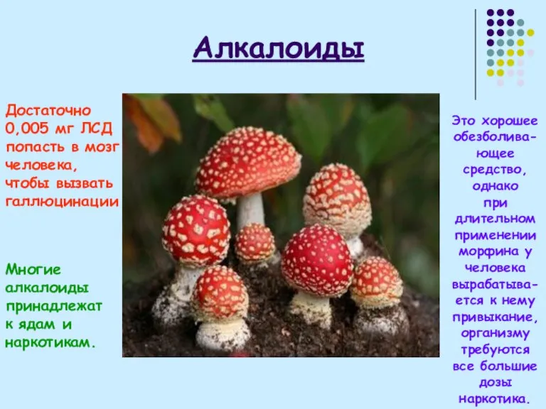 Алкалоиды Достаточно 0,005 мг ЛСД попасть в мозг человека, чтобы вызвать галлюцинации