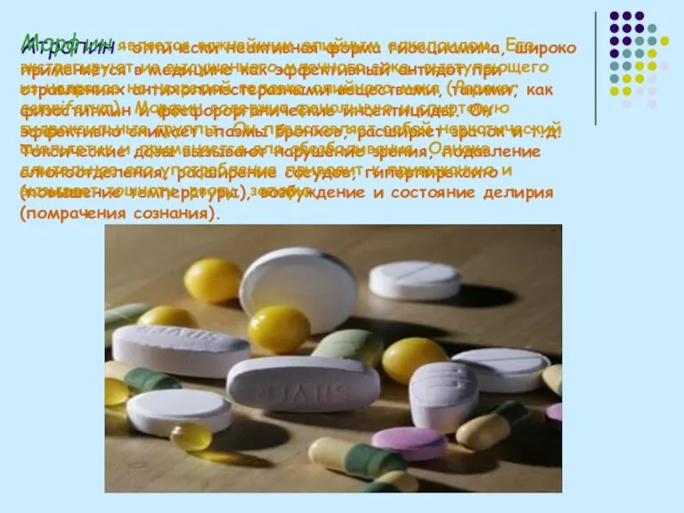Атропин – оптически неактивная форма гиосциамина, широко применяется в медицине как эффективный