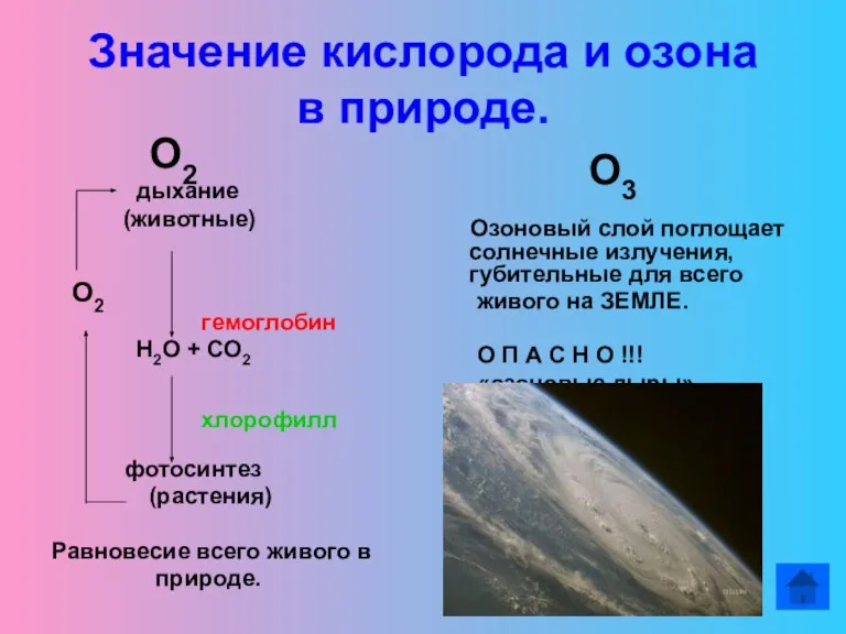 Значение кислорода и озона в природе. О2 дыхание (животные) О2 гемоглобин Н2О