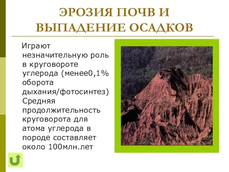 ЭРОЗИЯ ПОЧВ И ВЫПАДЕНИЕ ОСАДКОВ Играют незначительную роль в круговороте углерода (менее0,1%оборота