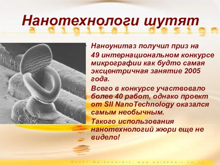 Наноунитаз получил приз на 49 интернациональном конкурсе микрографии как будто самая эксцентричная