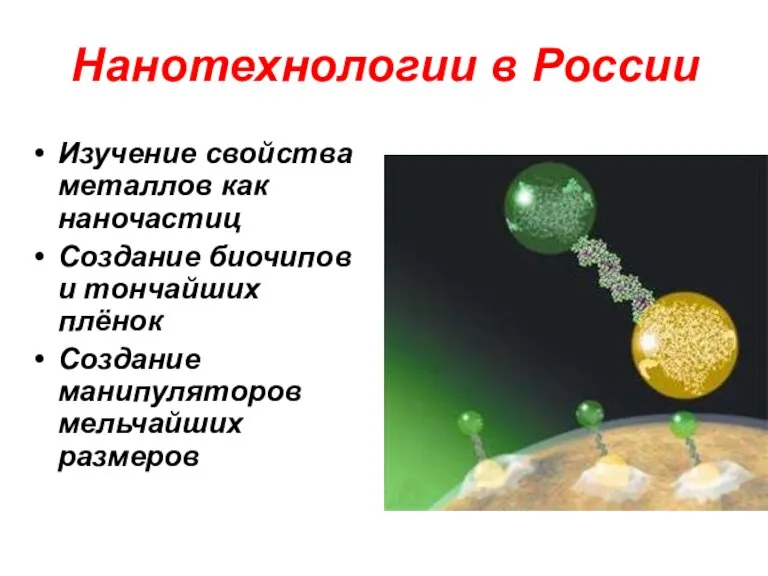 Нанотехнологии в России Изучение свойства металлов как наночастиц Создание биочипов и тончайших
