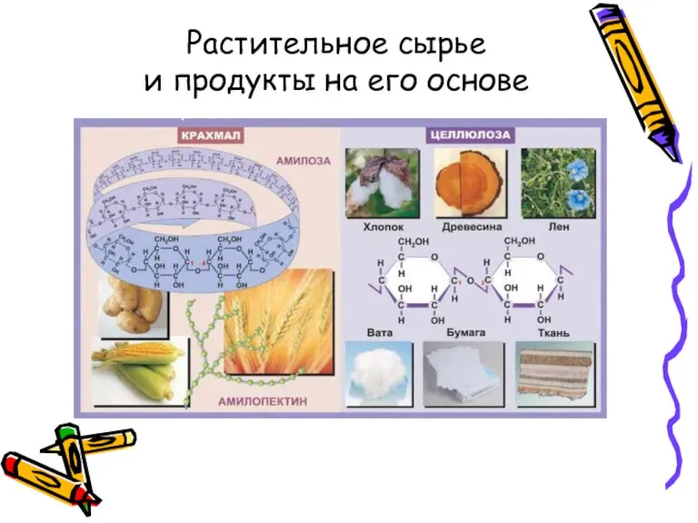 Растительное сырье и продукты на его основе