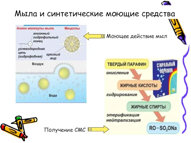 Мыла и синтетические моющие средства Моющее действие мыл Получение СМС