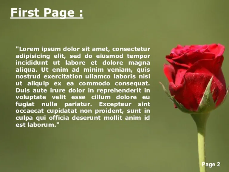 First Page : "Lorem ipsum dolor sit amet, consectetur adipisicing elit, sed