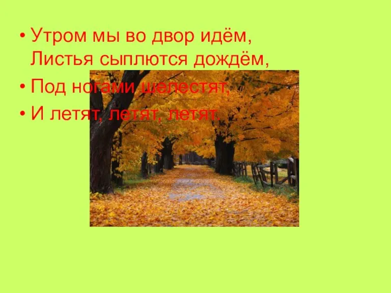 Утром мы во двор идём, Листья сыплются дождём, Под ногами шелестят, И летят, летят, летят.