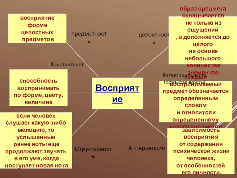 Восприятие предметность Константность Структурность восприятие форме целостных предметов способность воспринимать по форме,