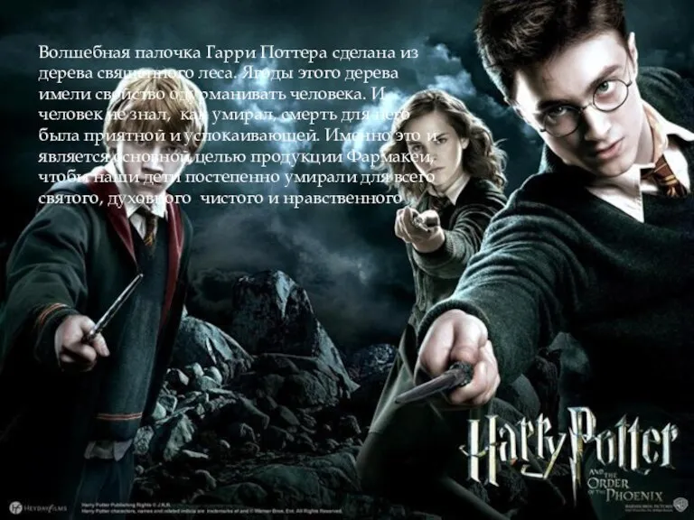 Волшебная палочка Гарри Поттера сделана из дерева священного леса. Ягоды этого дерева