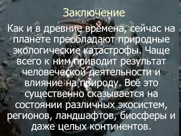 Заключение Как и в древние времена, сейчас на планете преобладают природные экологические