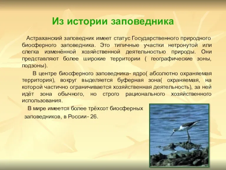 Из истории заповедника Астраханский заповедник имеет статус Государственного природного биосферного заповедника. Это