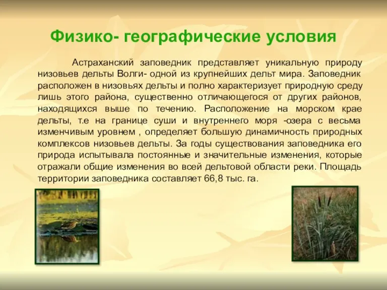 Физико- географические условия Астраханский заповедник представляет уникальную природу низовьев дельты Волги- одной