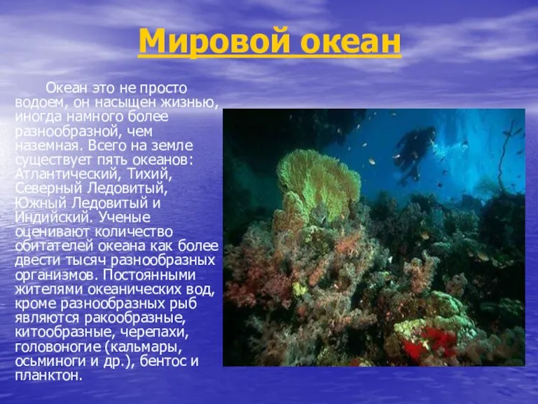 Мировой океан Океан это не просто водоем, он насыщен жизнью, иногда намного