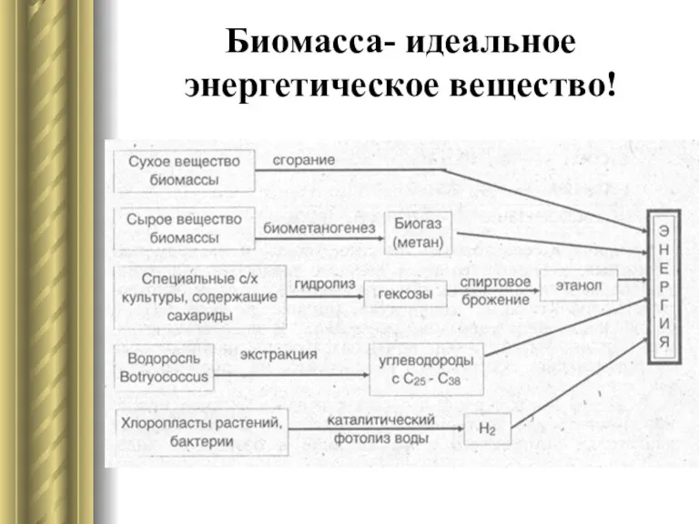 Биомасса- идеальное энергетическое вещество!