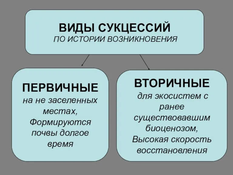 ВИДЫ СУКЦЕССИЙ ПО ИСТОРИИ ВОЗНИКНОВЕНИЯ ПЕРВИЧНЫЕ на не заселенных местах, Формируются почвы