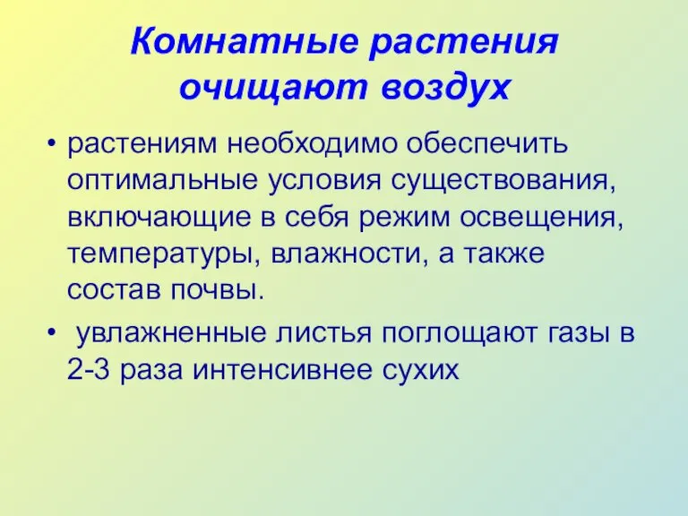 Комнатные растения очищают воздух растениям необходимо обеспечить оптимальные условия существования, включающие в