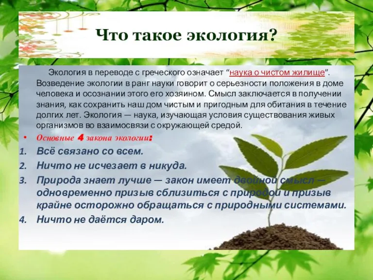 Что такое экология? Экология в переводе с греческого означает “наука о чистом