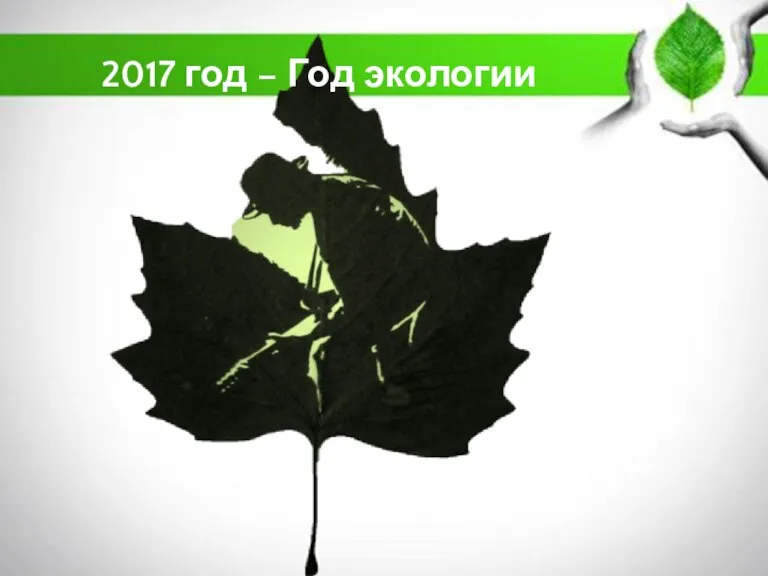 2017 год – Год экологии