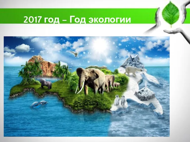 2017 год – Год экологии