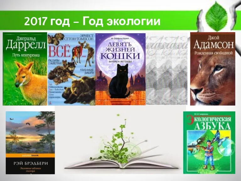 2017 год – Год экологии