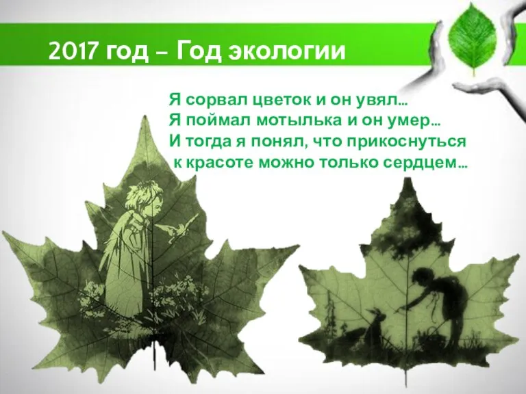 Я сорвал цветок и он увял… Я поймал мотылька и он умер…