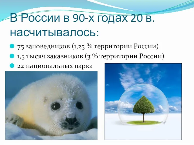 В России в 90-х годах 20 в. насчитывалось: 75 заповедников (1,25 %