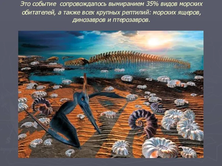 Это событие сопровождалось вымиранием 35% видов морских обитателей, а также всех крупных