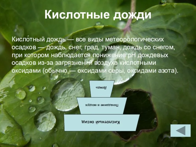 Кислотные дожди Кисло́тный дождь — все виды метеорологических осадков — дождь, снег,