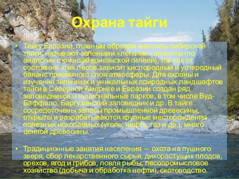 Охрана тайги Тайгу Евразии, главным образом массивы сибирской тайги, называют зелёными «лёгкими»