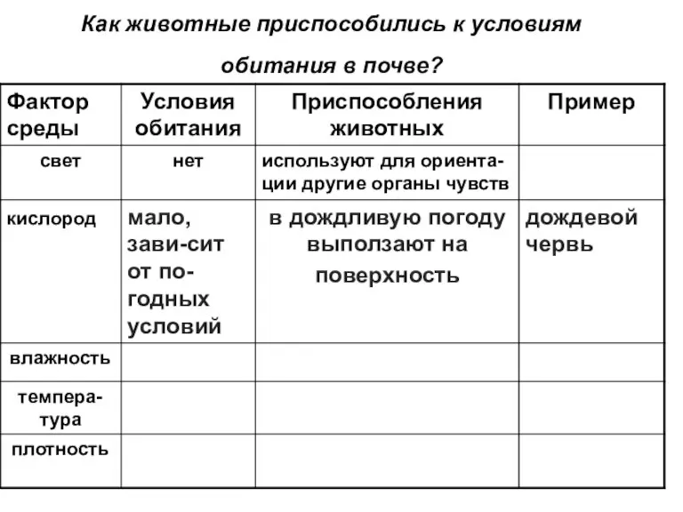 Как животные приспособились к условиям обитания в почве?