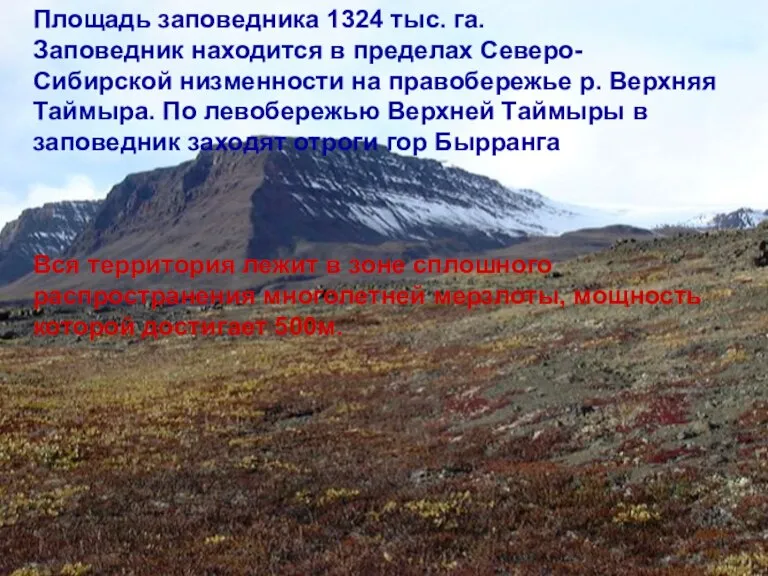 Площадь заповедника 1324 тыс. га. Заповедник находится в пределах Северо-Сибирской низменности на