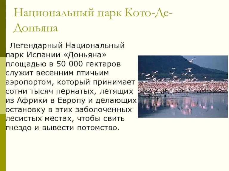 Национальный парк Кото-Де-Доньяна Легендарный Национальный парк Испании «Доньяна» площадью в 50 000