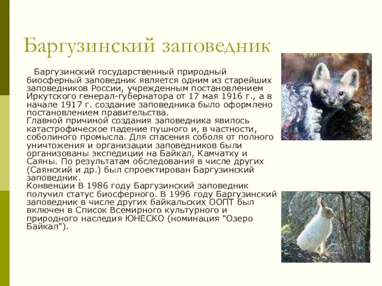 Баргузинский заповедник Баргузинский государственный природный биосферный заповедник является одним из старейших заповедников