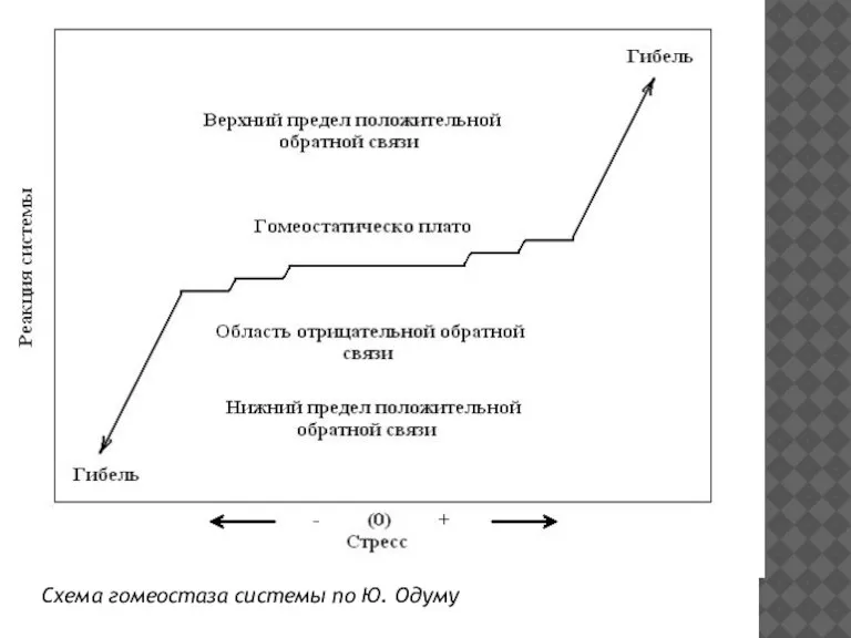 Схема гомеостаза системы по Ю. Одуму