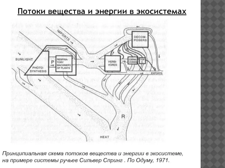 Потоки вещества и энергии в экосистемах Принципиальная схема потоков вещества и энергии