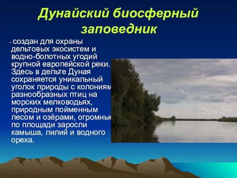 Дунайский биосферный заповедник - создан для охраны дельтовых экосистем и водно-болотных угодий