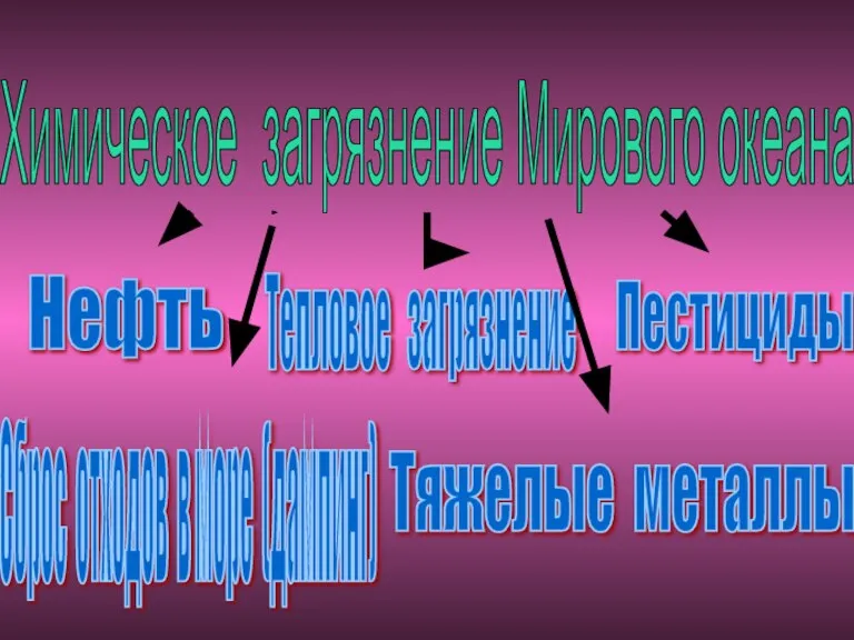 Химическое загрязнение Мирового океана