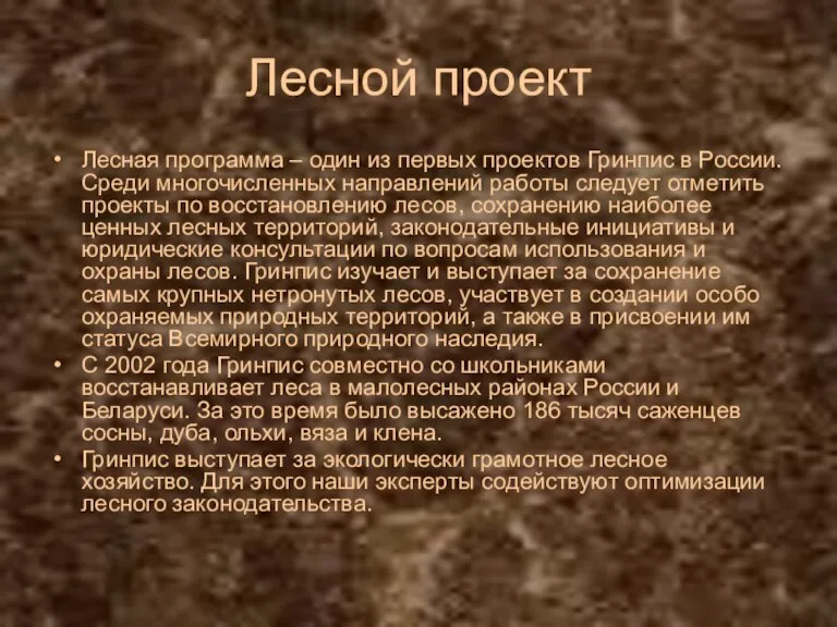 Лесной проект Лесная программа – один из первых проектов Гринпис в России.