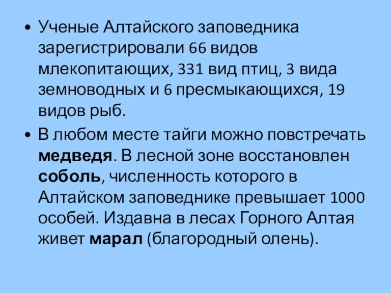 Ученые Алтайского заповедника зарегистрировали 66 видов млекопитающих, 331 вид птиц, 3 вида