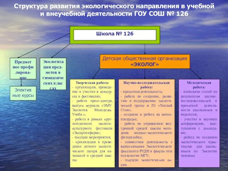 Структура развития экологического направления в учебной и внеучебной деятельности ГОУ СОШ № 126