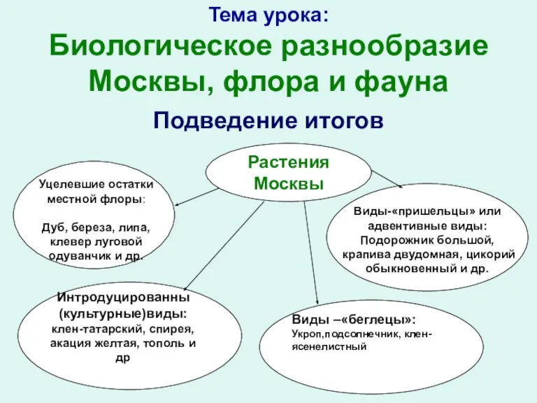 Тема урока: Биологическое разнообразие Москвы, флора и фауна Подведение итогов Растения Москвы