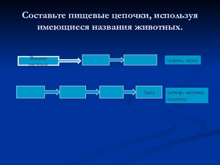 Составьте пищевые цепочки, используя имеющиеся названия животных. Водное растение Лиса (карась, щука) (комар, лягушка, ондатра)