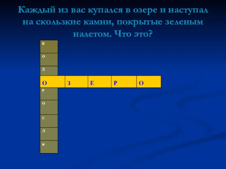 Каждый из вас купался в озере и наступал на скользкие камни, покрытые зеленым налетом. Что это?