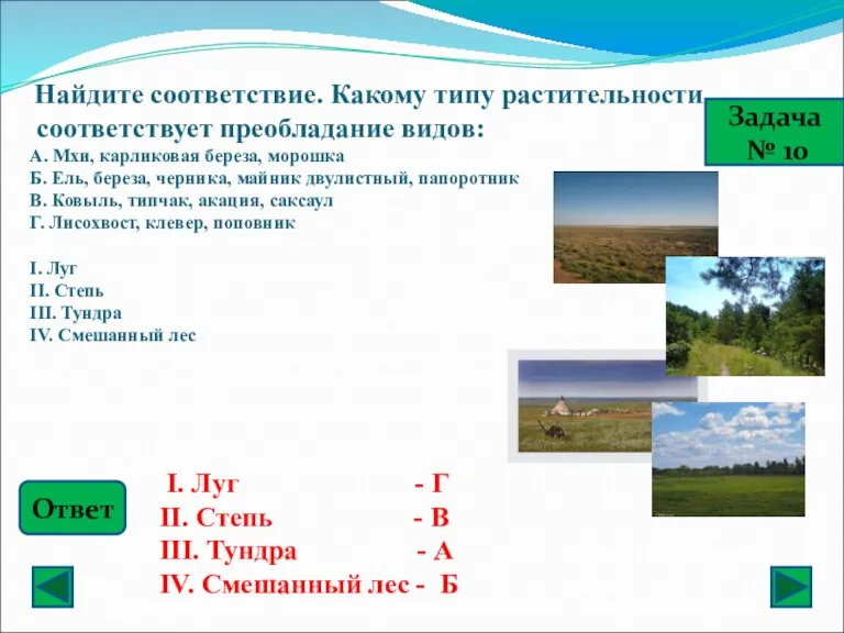 Задача № 10 Найдите соответствие. Какому типу растительности соответствует преобладание видов: A.